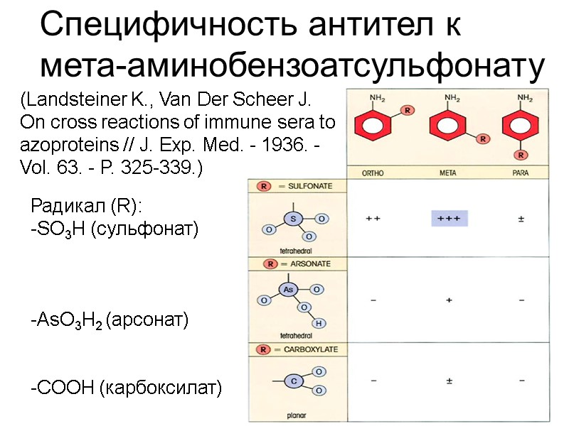 Специфичность антител к  мета-аминобензоатсульфонату (Landsteiner K., Van Der Scheer J.  On cross